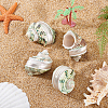 4Pcs Natural Shell FIND-PH0027-49-3