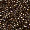 TOHO Round Seed Beads SEED-TR08-0459-2