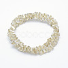Electroplate Glass Beads Strands EGLA-J143-B-PL02-2
