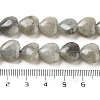 Natural Labradorite Beads Strands G-B022-32C-5