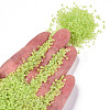 12/0 Glass Seed Beads SEED-A016-2mm-212-5