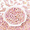 Baking Paint Glass Seed Beads SEED-N008-06B-2