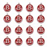 Platinum Plated Alloy Enamel Charms ENAM-S118-03B-P-2