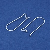 304 Stainless Steel Hoop Earring Findings LS-STAS-P223-01S-04-2