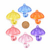 Transparent Acrylic Pendants TACR-T024-01B-3