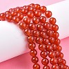 Natural Carnelian Beads Strands G-C076-6mm-2A-6