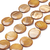 Natural Freshwater Shell Beads X-BSHE-I011-01A-01-1