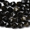 Natural Golden Sheen Obsidian Beads Strands G-Z119-A10-01-5