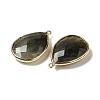 Faceted Natural Labradorite Pendants X-G-M356-B02-LG-4