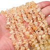 Natural Citrine Beads Strands G-P332-51-5
