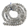 Faceted Round Natural Labradorite Bead Strands G-I156-03-4mm-4