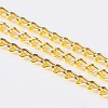 Iron Twisted Chains Curb Chains CHS001Y-G-1