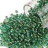 TOHO Round Seed Beads X-SEED-TR08-0755-1