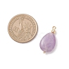 4Pcs 4 Styles Natural Amethyst & Rose Quartz & Green Aventurine & Dyed Quartz Teardrop Charms with Brass Bails PALLOY-JF04268-01-3
