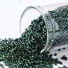 TOHO Round Seed Beads SEED-JPTR15-0384-1