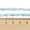 Natural Freshwater Shell Beads Strands SHEL-C010-01C-4