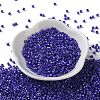 Baking Paint Glass Seed Beads X-SEED-S042-15A-21-2