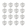 Non-Tarnish 304 Stainless Steel Charms STAS-Q201-T174-1