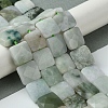 Natural Myanmar Jadeite Beads Strands G-A092-C01-03-2