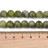 Natural Gemstone Beads GSR032-10