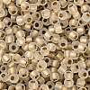 TOHO Round Seed Beads X-SEED-TR08-0989FM-2