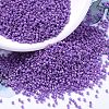 MIYUKI Delica Beads X-SEED-J020-DB0660-1
