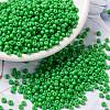 MIYUKI Round Rocailles Beads X-SEED-G008-RR4476-1