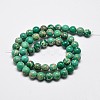 Natural Imperial Jasper Beads Strands X-G-I122-6mm-05-3
