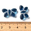 Transparent Lampwork Beads LAMP-P065-02A-4