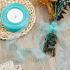 1 Rolls Sheer Organza Ribbon SRIB-CY0001-22A-06-4