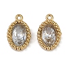 Ion Plating(IP) 304 Stainless Steel Micro Pave Cubic Zirconia Charms STAS-K256-19G-03-1