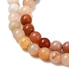 Natural Myanmar Jade Beads Strands LS-G-RM250101-C25-4