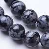 Natural Snowflake Obsidian Beads Strands G-D855-11-8mm-3