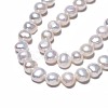 Natural Cultured Freshwater Pearl Beads Strands PEAR-N014-07C-4