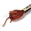 10 Skeins 6-Ply Polyester Embroidery Floss OCOR-K006-A47-2