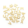 304 Stainless Steel Charms X-STAS-P141-1