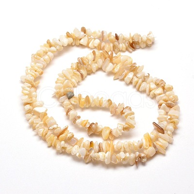 Natural Freshwater Shell Chip Bead Strands G-M205-20-1