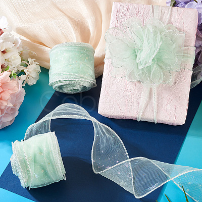 Polyester Deco Mesh Ribbons OCOR-TAC0024-004G-1