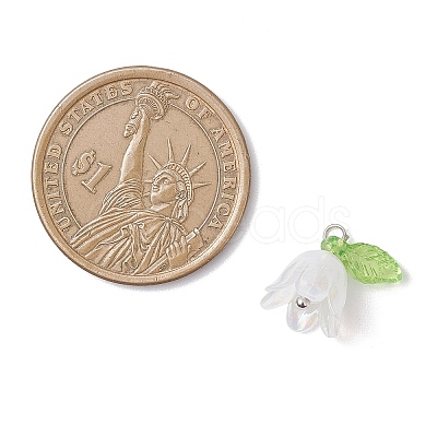 5Pcs Transparent Acrylic Pendants PALLOY-JF04703-02-1