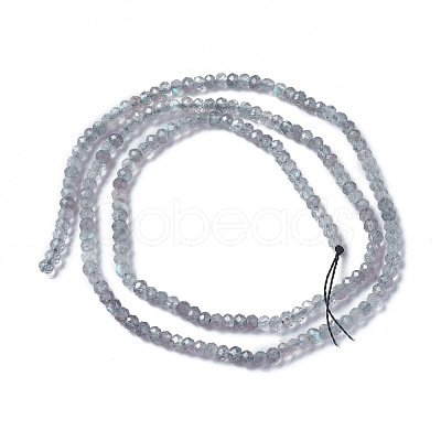 Natural Labradorite Beads Strands X-G-F596-07-1