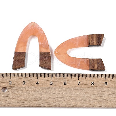 Resin & Wood Pendants WOOD-F015-16E-1