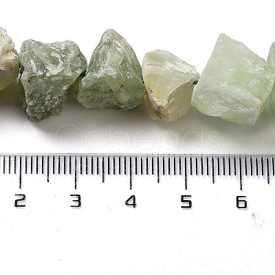 Raw Rough Natural Prehnite Beads Strands G-P528-A05-01-1