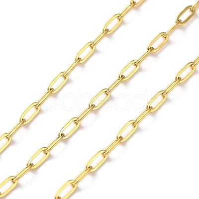 304 Stainless Steel Paperclip Chains CHS-R020-06G-01-1