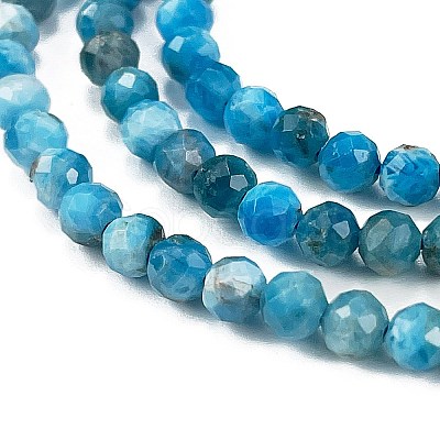 Natural Apatite Beads Strands G-C127-A01-01-1