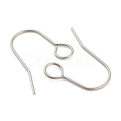 Tarnish Resistant 304 Stainless Steel Earring Hooks STAS-B047-31P-1