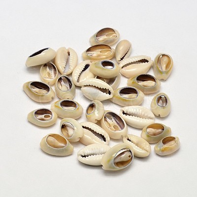 Natural Conch Shell Beads X-BSHE-O007-71-1