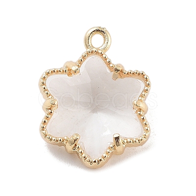 Brass Inlay Clear Glass Pendants LS-KK-Z061-05G-1