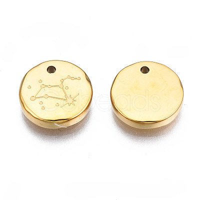 316 Surgical Stainless Steel Charms STAS-S116-418H-G-1