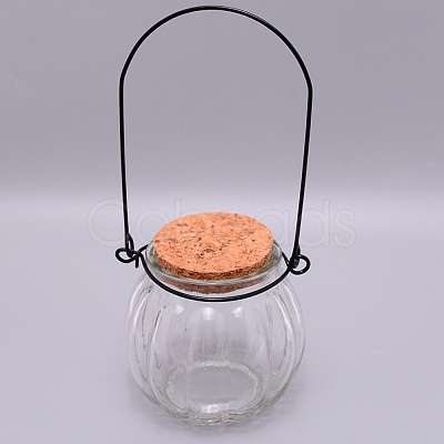 Empty Glass Wishing Bottle GLAA-WH0028-10-1