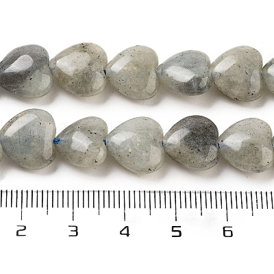 Natural Labradorite Beads Strands G-B022-32C-1
